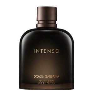 دی اند جی دلچه گابانا پور هوم اینتنسو  Dolce Gabbana Pour Homme Intenso