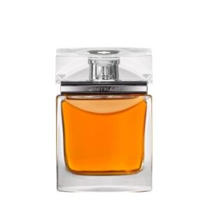 مون بلان اکسپشنال Mont Blanc Homme Exceptionnel