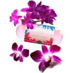 کارولینا هررا 212 سورف زنانه Carolina Herrera 212 Surf for Her