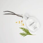کالوین کلین آبسسد مردانه Calvin Klein Obsessed for men