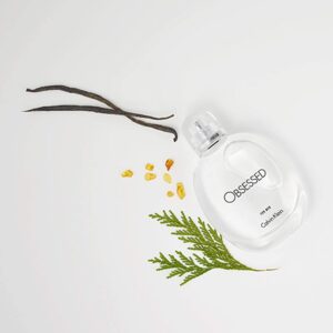 کالوین کلین آبسسد مردانه Calvin Klein Obsessed for men