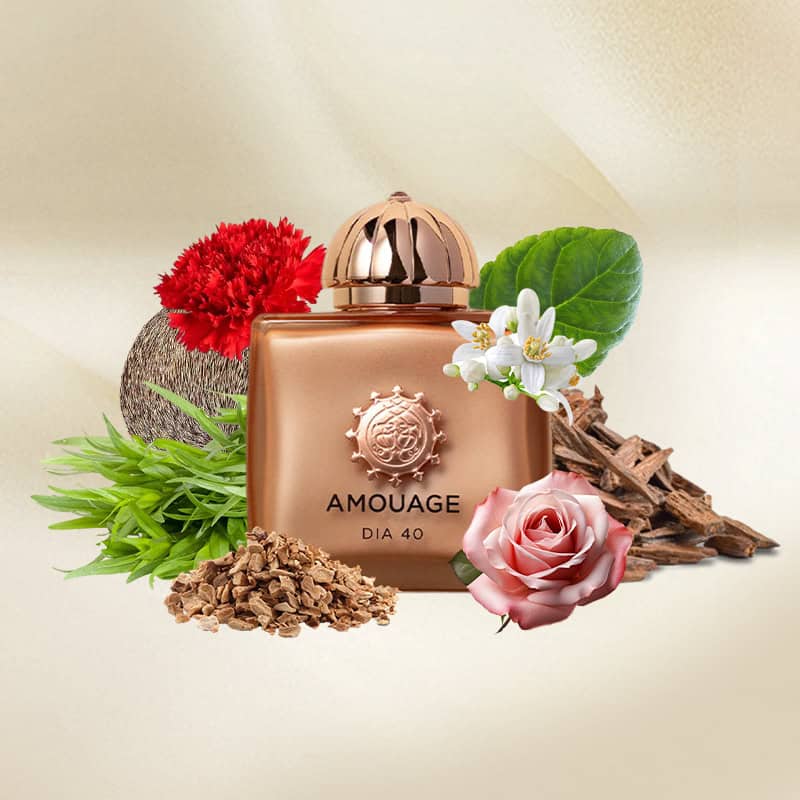 هاردباکس آمواج دیا 40 وومن AMOUAGE Dia 40 Woman