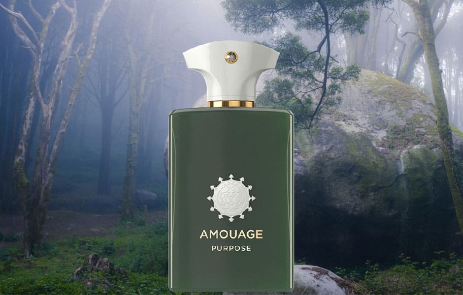 هاردباکس آمواج پرپوس(پرپس) Amouage Purpose