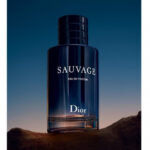 دیور ساواج ادو پرفیوم Dior Sauvage Eau de Parfum
