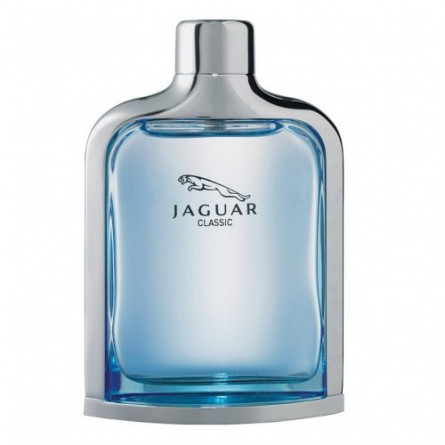 B3148C78-35C1-4E70-9BED-ECE146E2E6A5.jpeg جگوار کلاسیک آبی Jaguar Classic Blue