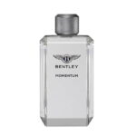 بنتلی مومنتوم Bentley Momentum