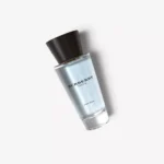 باربری تاچ مردانه Burberry Touch