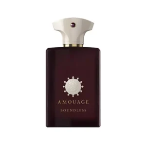آمواج باندلس مردانه Amouage Boundless For Men