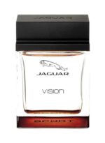 جگوار ویژن اسپرت Jaguar Vision Sport