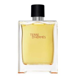 هرمس تق هرمس Hermes Terre d’Hermes 100 ml