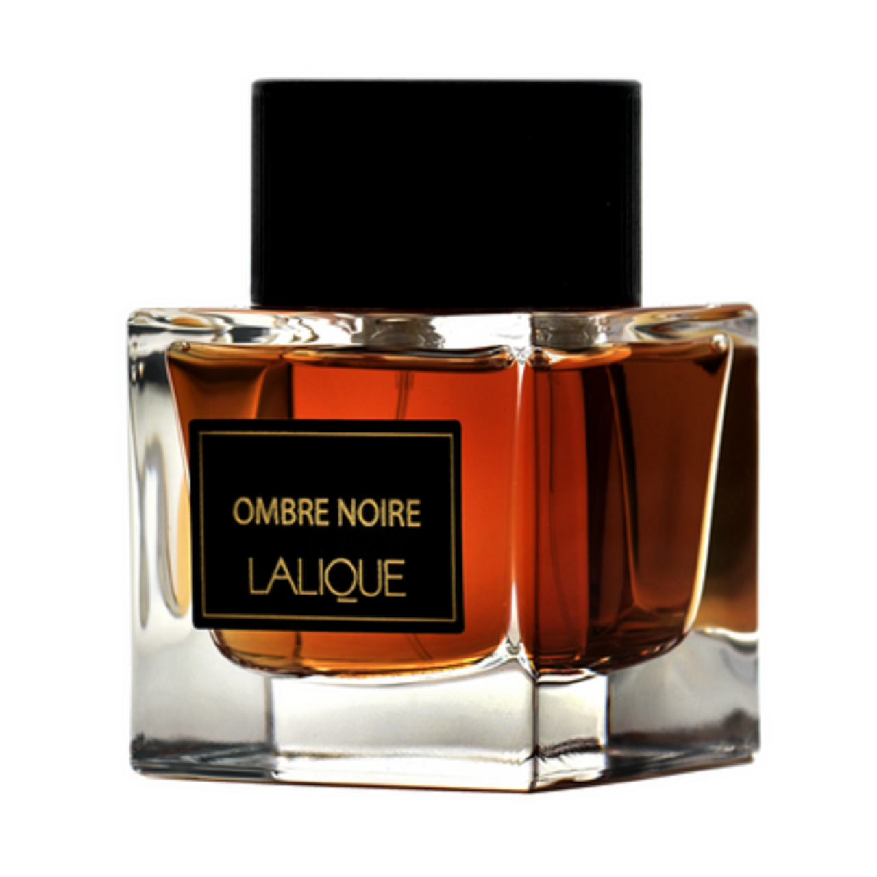 تستر اصلی لالیک امبر نویر Lalique Ombre Noire