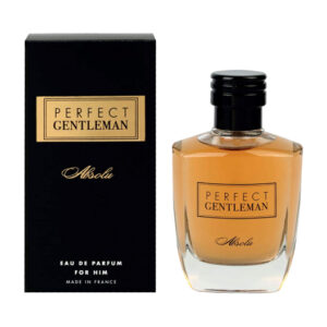 آرت اند پرفیوم پرفکت جنتلمن ابسولو Art&perfume Perfect Gentleman Absolu