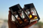 دیور هوم اینتنس Dior Homme Intense