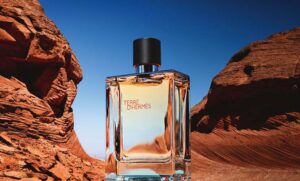 هرمس تق هرمس Hermes Terre d’Hermes 100 ml