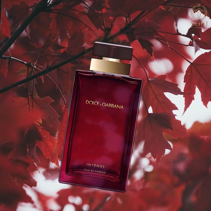 دی اند جی دلچه گابانا پورفم اینتنس Dolce Gabbana Pour Femme Intense