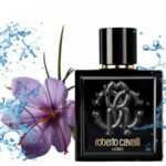 روبرتو کاوالی یومو roberto cavalli Uomo