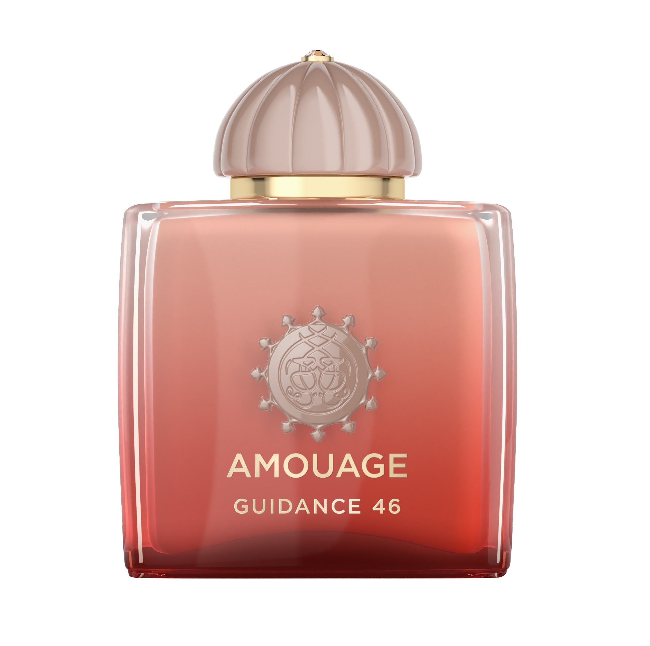 هاردباکس آمواج گایدنس 46 Amouage Guidance 46