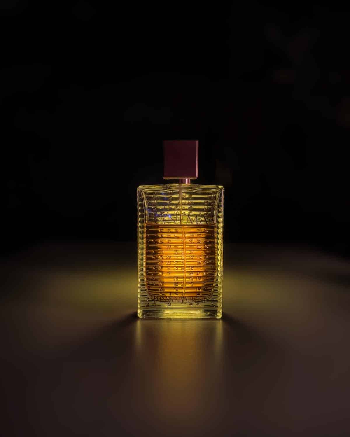 ایو سن لورن سینما Yves Saint Laurent Cinema