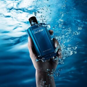 دیویدوف کول واتر مردانه Davidoff Cool Water for men